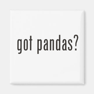 Panda's? Magneet