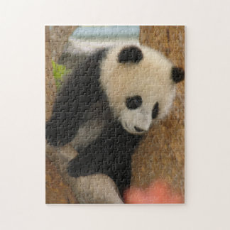 PandaSD009 Legpuzzel