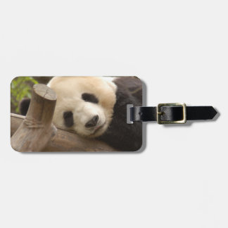 PandaSD010 Bagagelabel