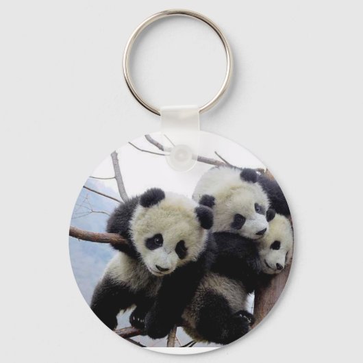 pandemie sleutelhanger (Voorkant)