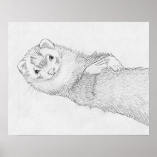 "Pandora" Ferret Drawing Poster