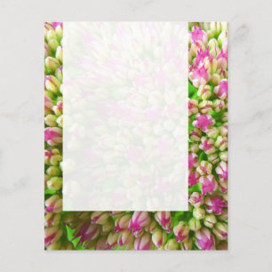 Panel 0110 - Sedum "Autumn Joy" (B&W) Flyer