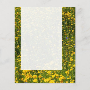 Panel 0114 — Field of Yellow Daisies Flyer
