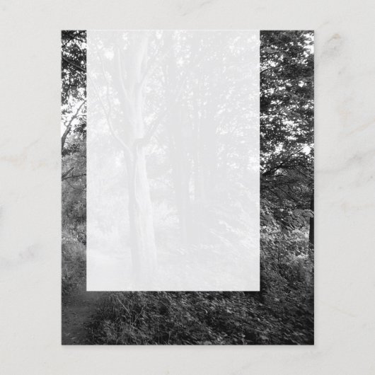 Panel 013 - in de Bossen Flyer (Voorkant)