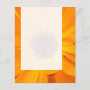 Panel 026 — Oranje Marigold Flyer