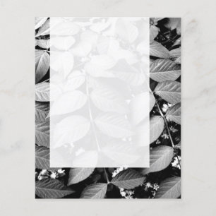 Panel 037 — Leaves Flyer