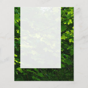 Panel 039 - Summer Leaves Flyer