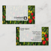 Panel — Tulpen Visitekaartje (Voorkant / Achterkant)