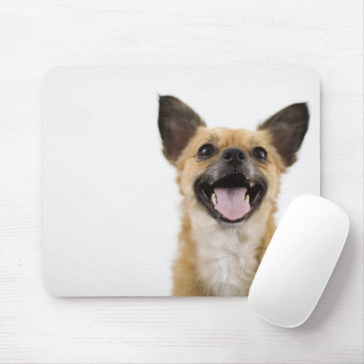 Panelhond Muismat (Met muis)