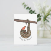 Pangolin 'hang in daar' briefkaart (Staand voorkant)