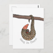 Pangolin 'hang in daar' briefkaart (Voorkant / Achterkant)