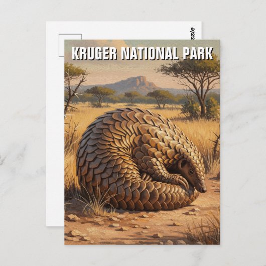 Pangolin in het Kruger National Park in Zuid-Afrik Briefkaart (Voorkant / Achterkant)