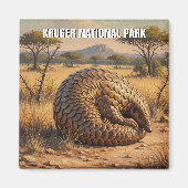 Pangolin in het Kruger National Park in Zuid-Afrik Magneet (Voorkant)