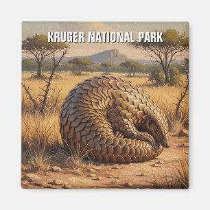 Pangolin in het Kruger National Park in Zuid-Afrik Magneet
