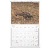 Pangolin Secourt Fonds Calendrier 2026 (Mar 2026)