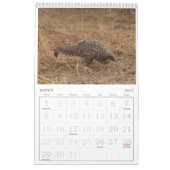 Pangolin Secourt Fonds Calendrier 2026 (Mar 2027)