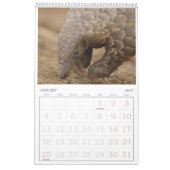 Pangolin Secourt Fonds Calendrier 2026 (Jan 2027)