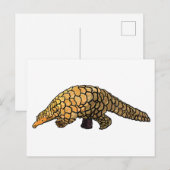 Pangoline Briefkaart (Voorkant / Achterkant)