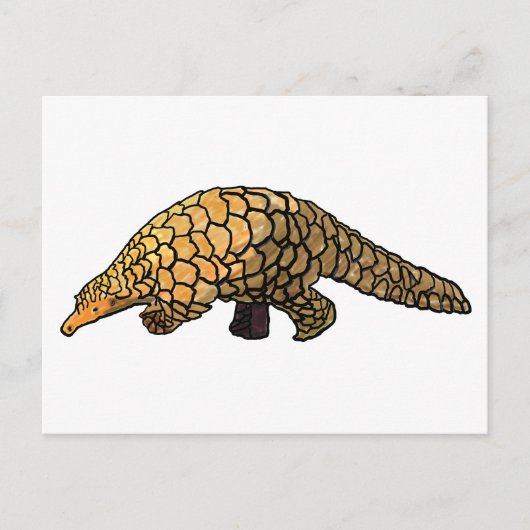 Pangoline Briefkaart (Voorkant)
