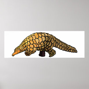Pangoline Poster