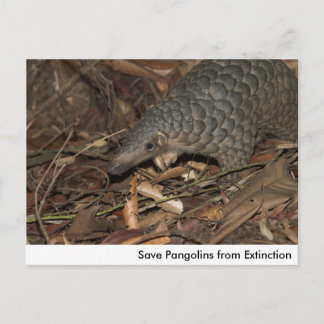 Pangolins opslaan vanaf het Briefkaart Uitsterven