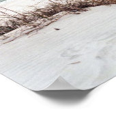 Panhandle Beach Poster (Hoek)