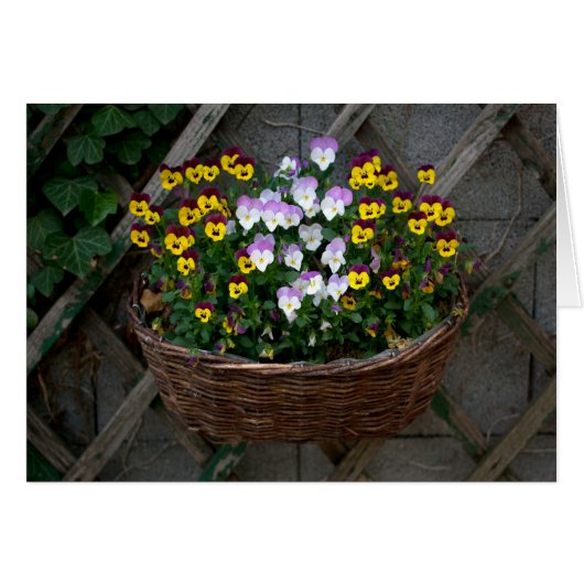 Panier avec pensées (Devant horizontal)