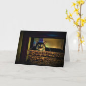 Panier de chat, carte (Fleur jaune)
