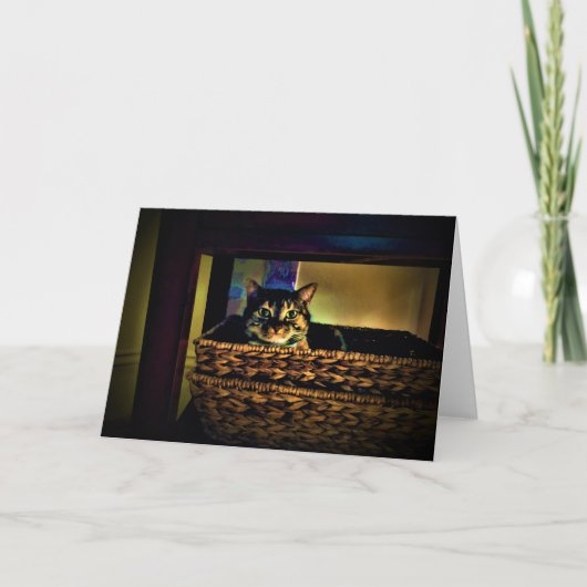 Panier de chat, carte (Devant)