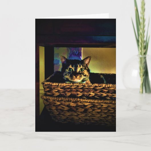 Panier de chat, carte (Devant)