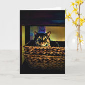 Panier de chat, carte (Fleur jaune)