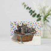 Panier de chats Tabby - Carte postale (Debout devant)