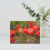 Panier de la carte postale de Noël (Debout devant)