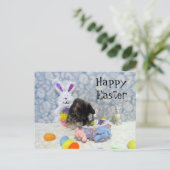 Panier de Pâques de Bandit - Carte postale (Debout devant)