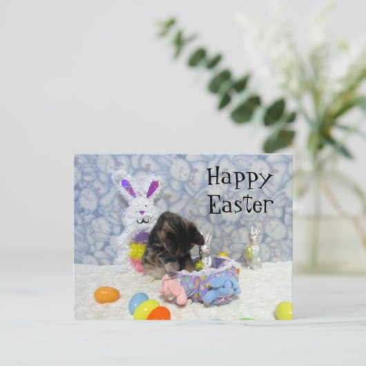 Panier de Pâques de Bandit - Carte postale (Debout devant)