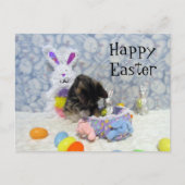 Panier de Pâques de Bandit - Carte postale (Devant)