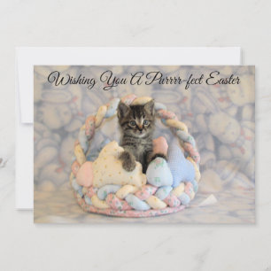 Panier de Pâques de Patton - Chat/Chaton - Carte