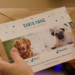 Paniers en argent et Père Noël bleu deux Cartes ph<br><div class="desc">Mignonne "Père Noël Paws vient en ville" deux cartes photos de Noël avec des coches coquines ou jolies et de vrais accents de papier peint !</div>