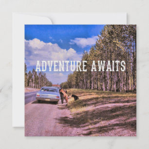 Paniers PIC-A-NIC 5,25 x 5,25 carte