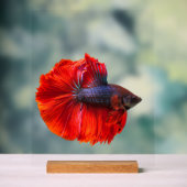 Panneau acrylique personnalisé 11" x 14", avec blo (Neutre)