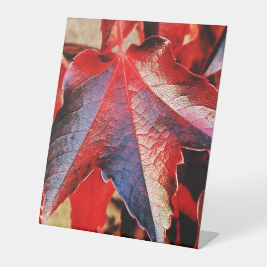 Panneau central en plastique 10"X12" (Recto)