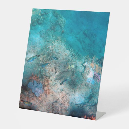 Panneau central en plastique 10"X12" (Recto)