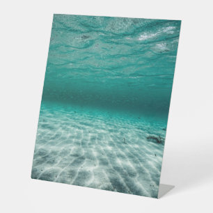 Panneau central en plastique 10"X12"