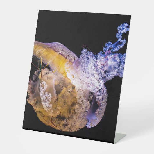 Panneau central en plastique 10"X12" (Recto)
