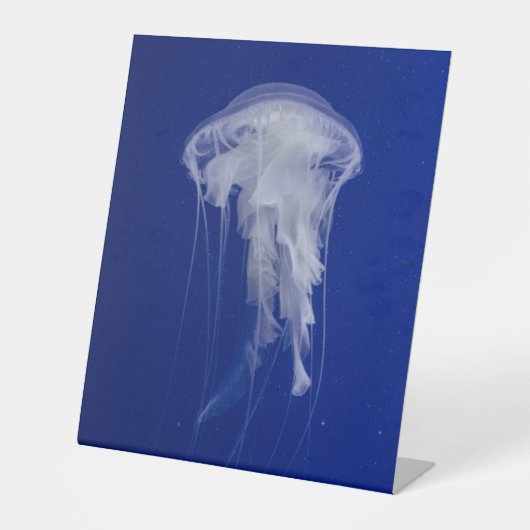 Panneau central en plastique 10"X12" (Recto)