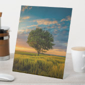 Panneau central en plastique 10"X12" (In SItu)