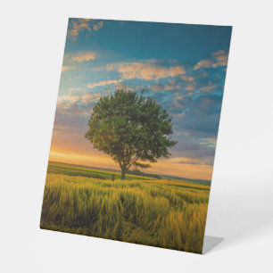 Panneau central en plastique 10"X12"