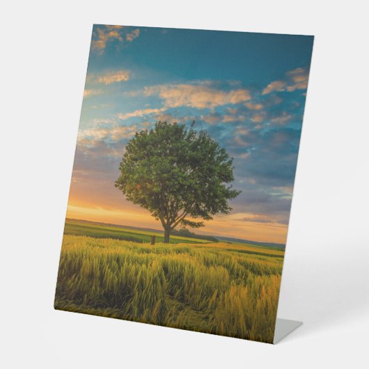 Panneau central en plastique 10"X12" (Recto)