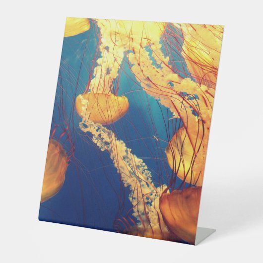 Panneau central en plastique 10"X12" (Recto)