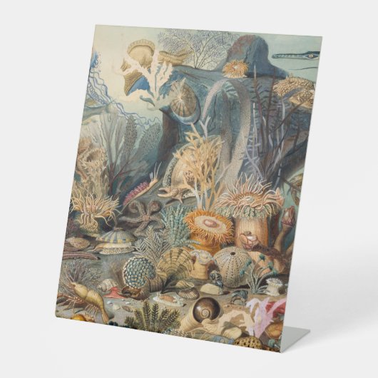 Panneau central en plastique 10"X12" (Recto)